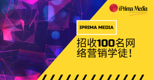 Iprima Media 招收100名网络营销学徒