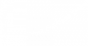 We Grow Your Business Online