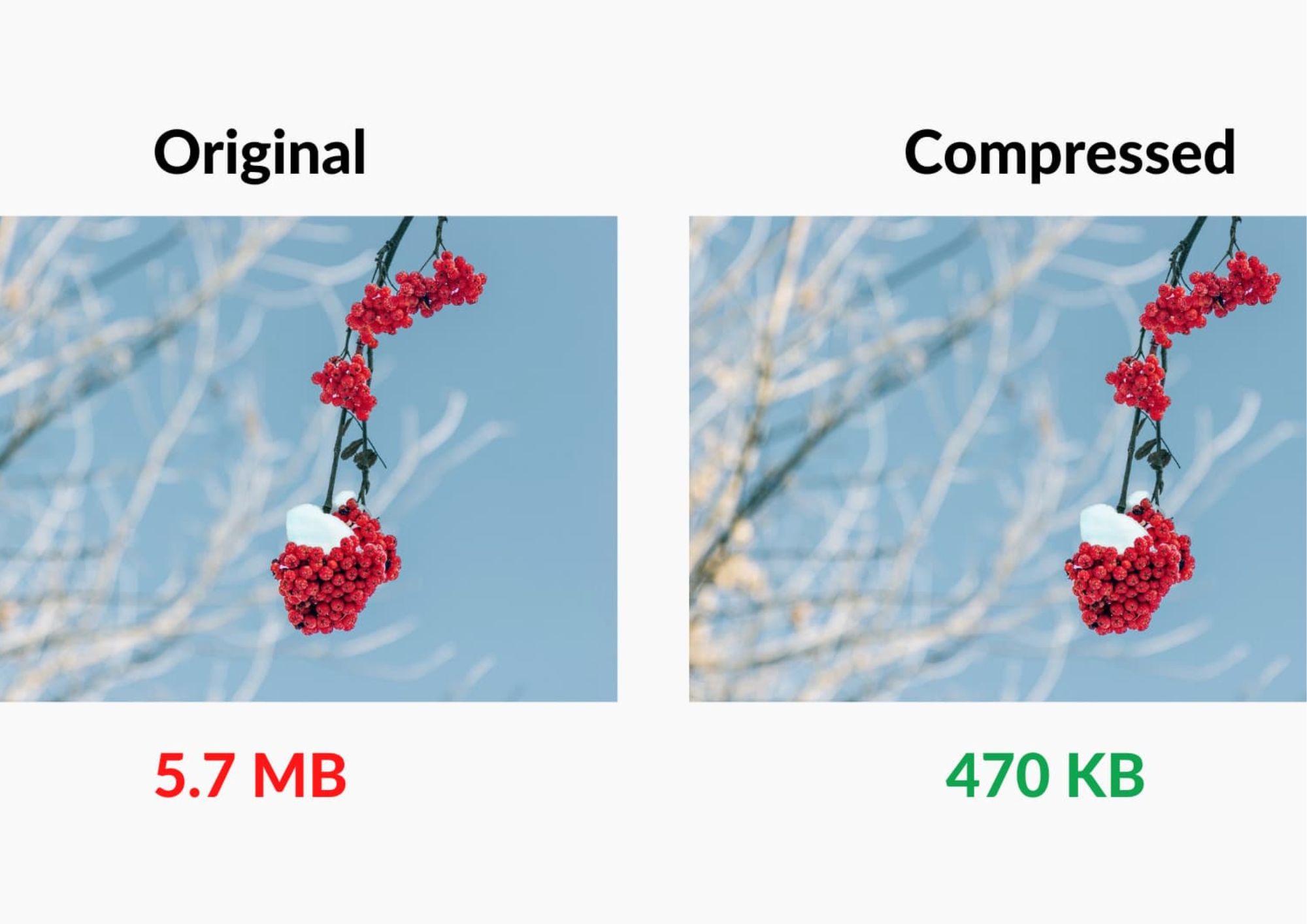image SEO